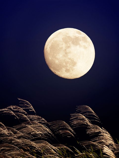 Japanese Moon – Bing Wallpaper Download