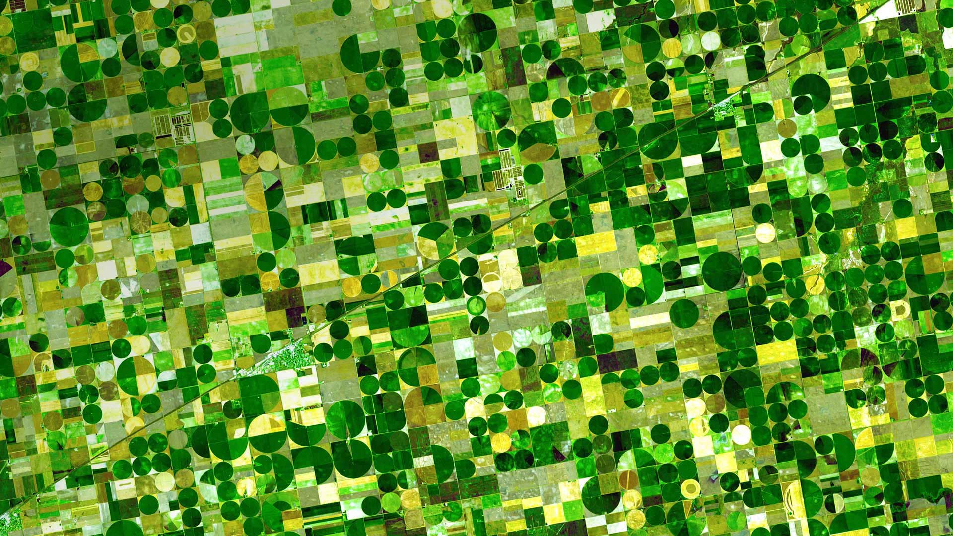 Kansas Crop Circles