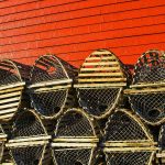 Lobster Baskets