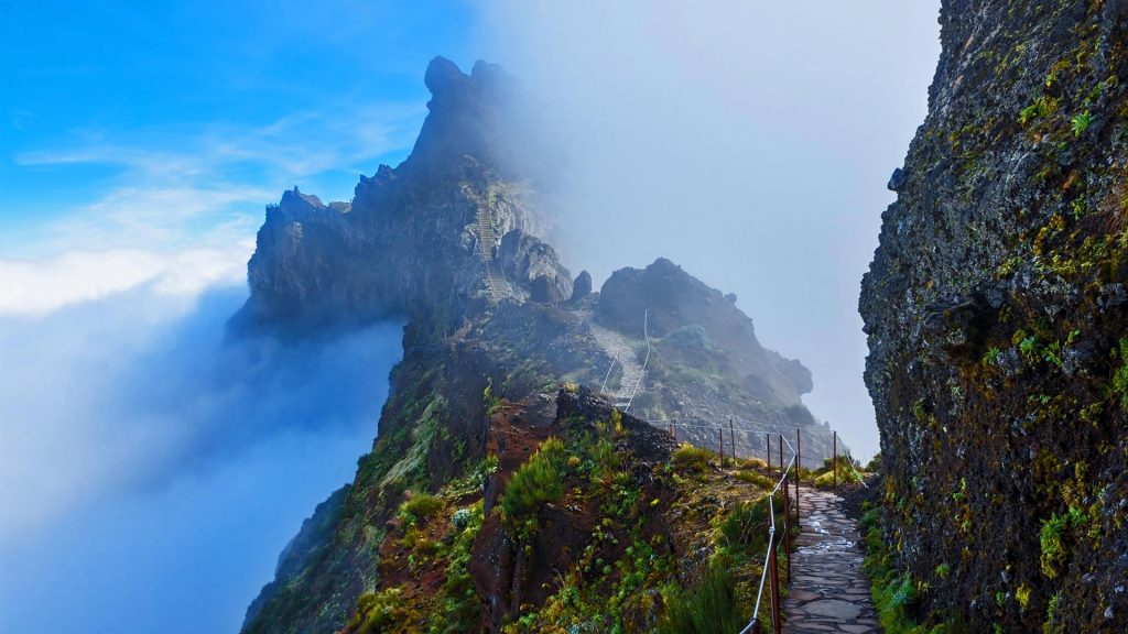 Madeira Trails