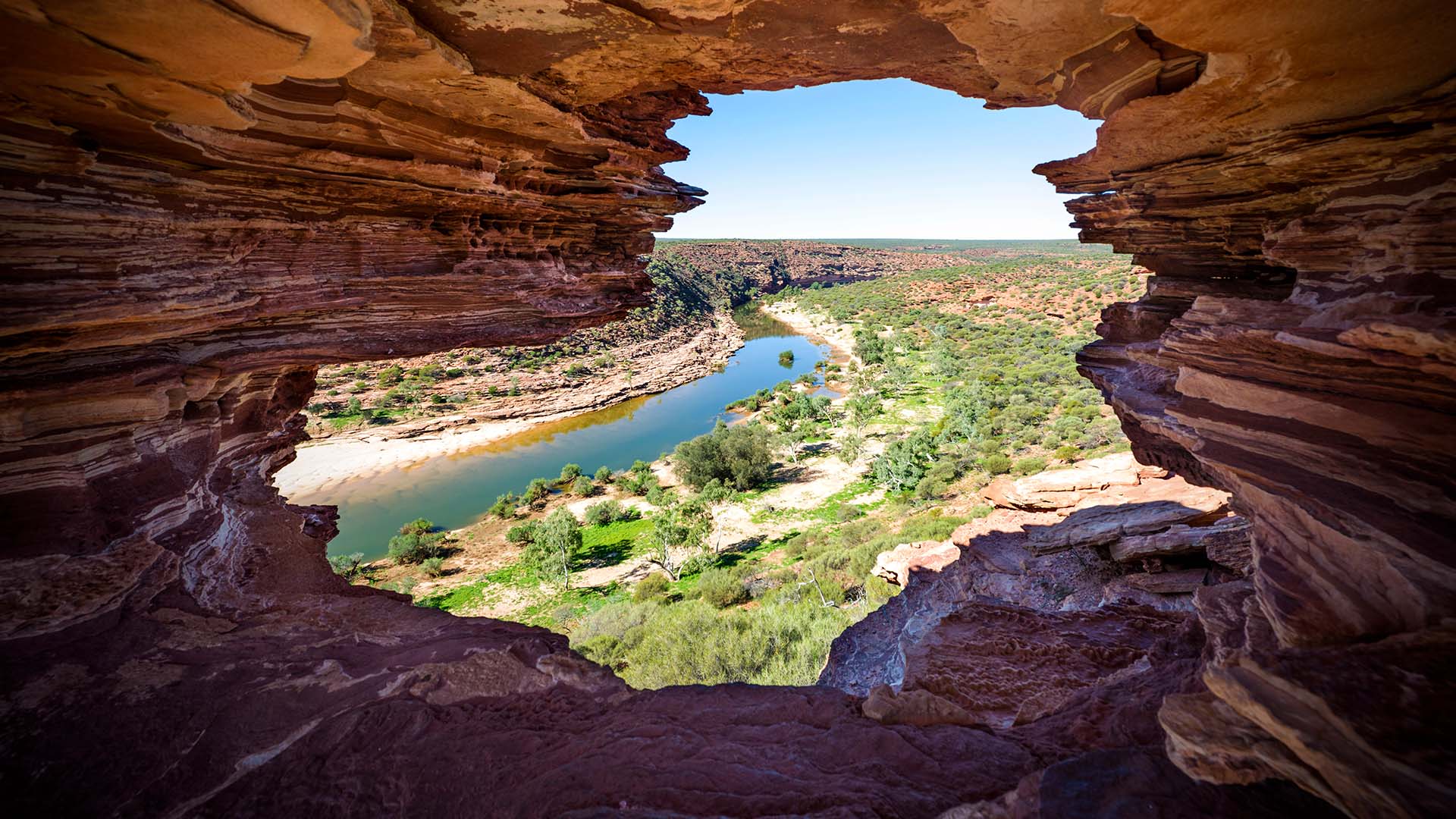 Natures Window