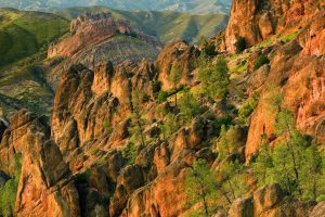 Pinnacles NP