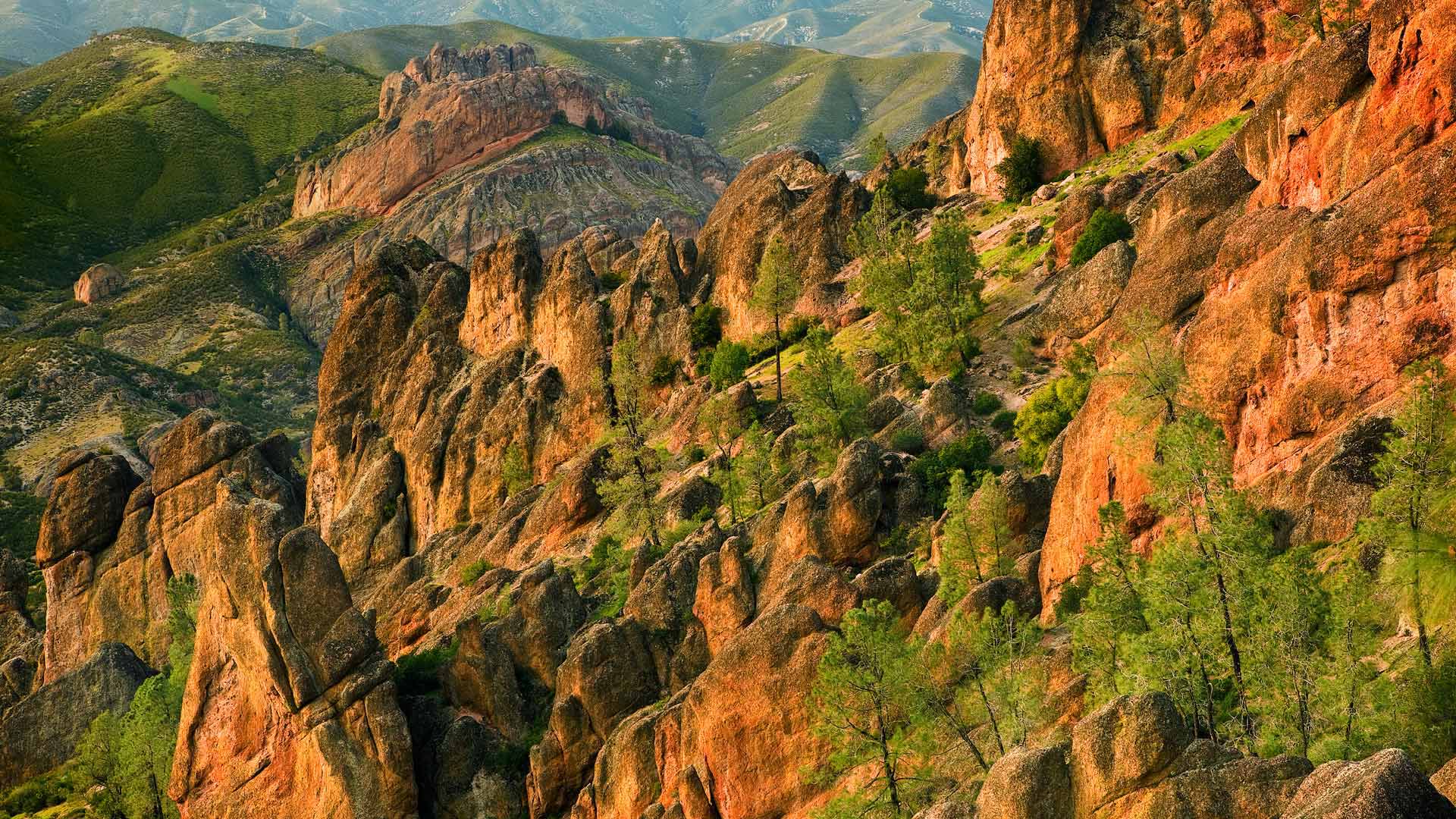 Pinnacles NP