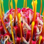 Protea Flower