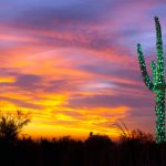 Saguaro Lights