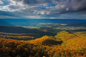 Shenandoah Autumn