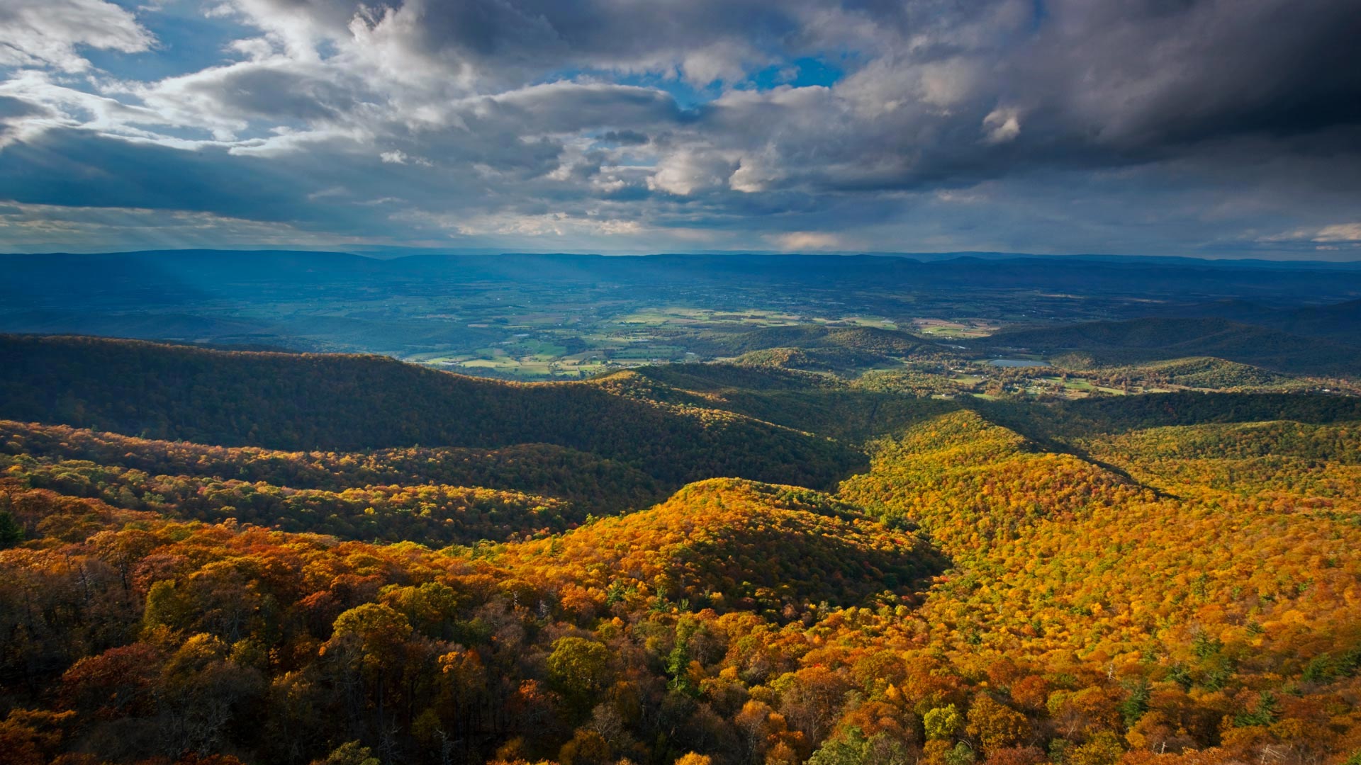 Shenandoah Autumn