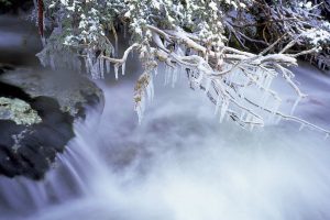 Thredbo Frost