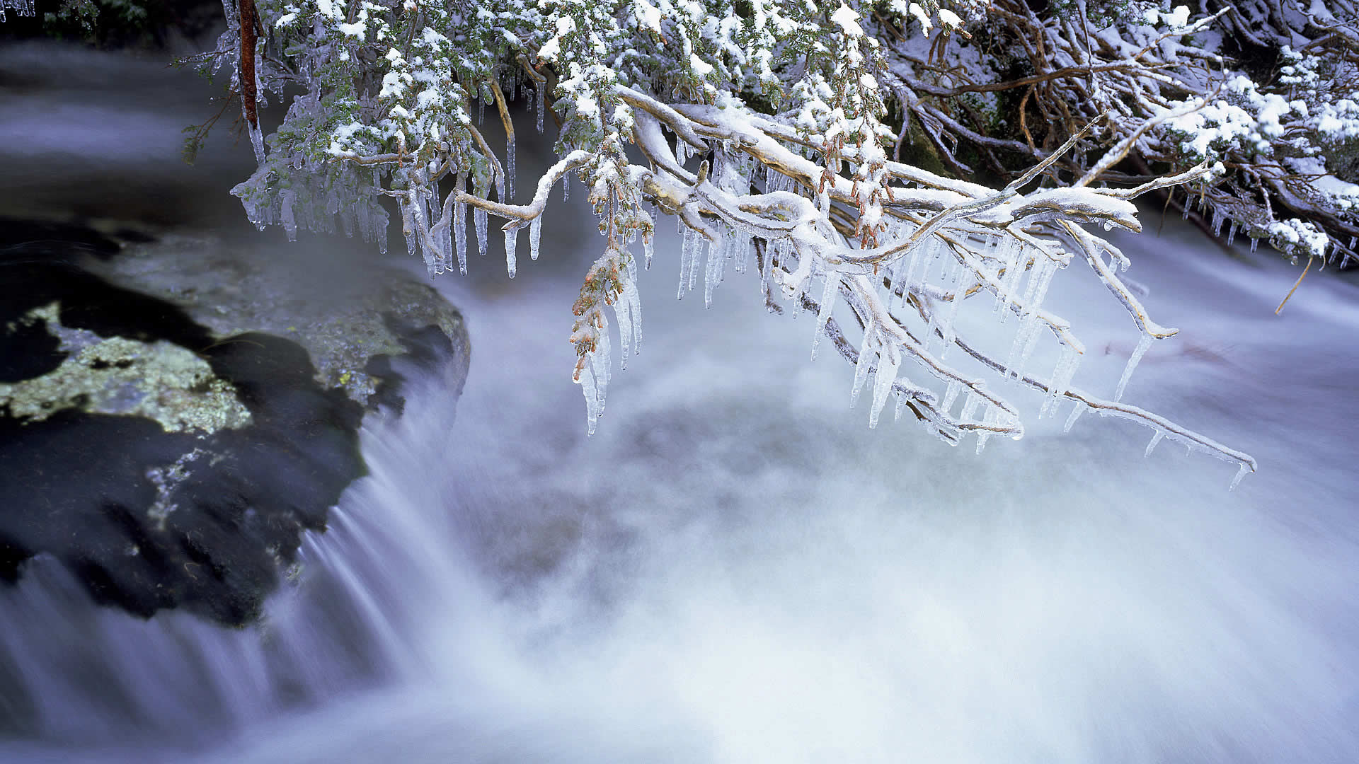 Thredbo Frost