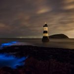 Trwyn Du Lighthouse