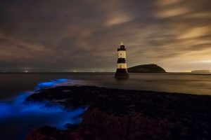 Trwyn Du Lighthouse