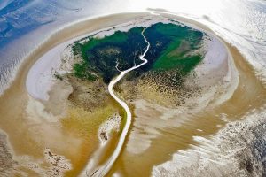 Wadden Sea Island