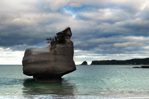 Cathedral Cove