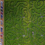 Corn Maze