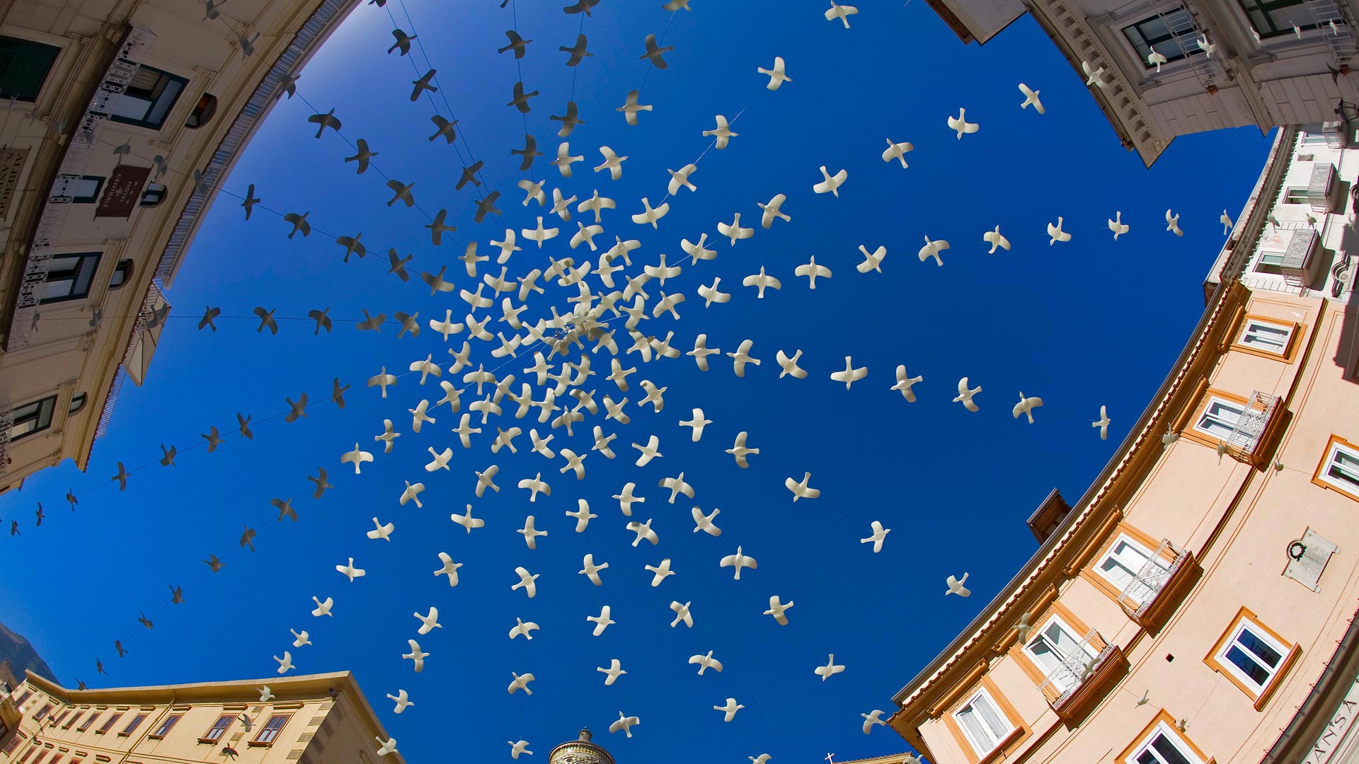 Doves Piazza