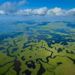 Everglades Aerial NP