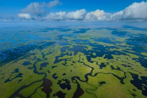 Everglades Aerial NP