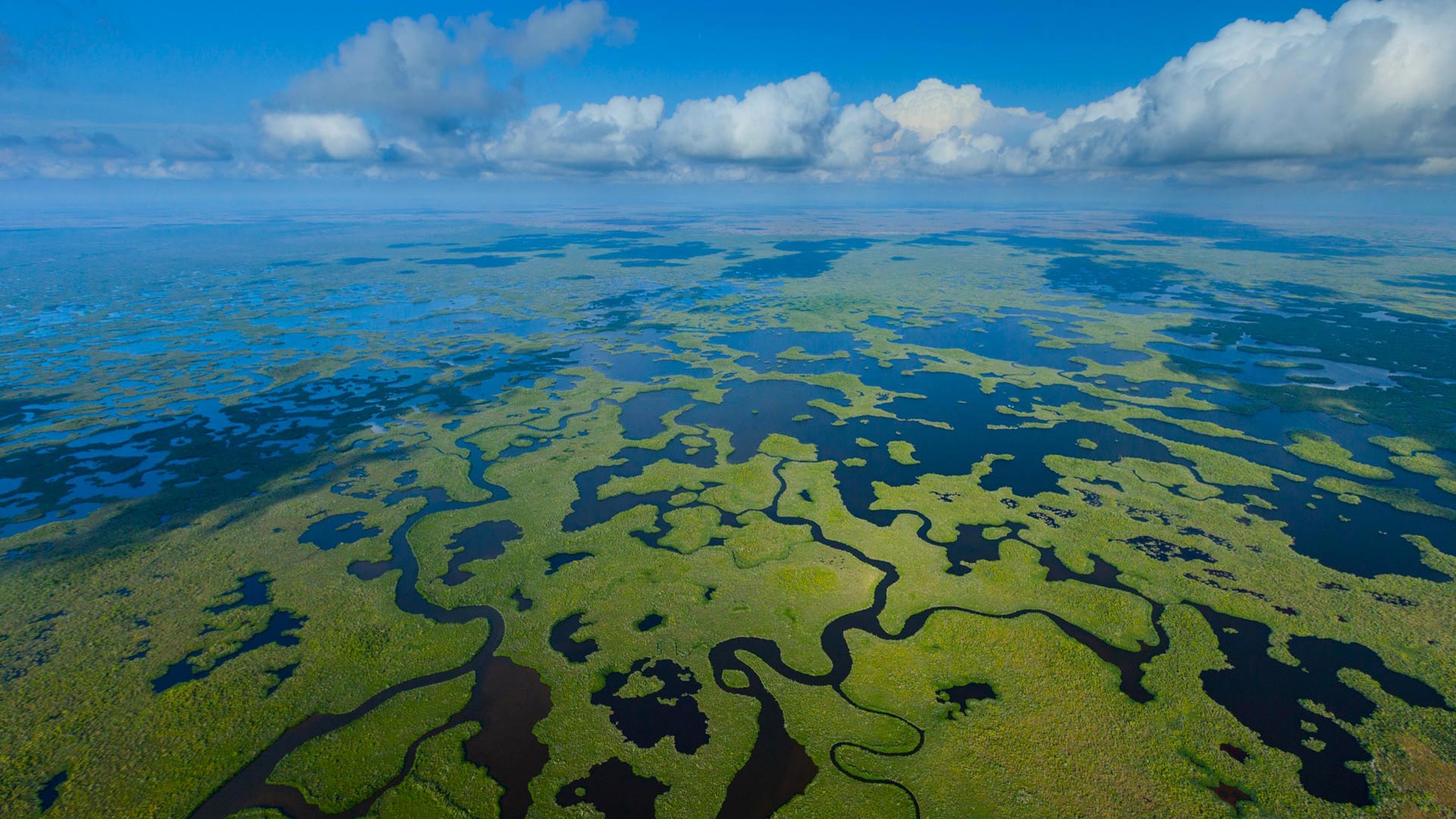 Everglades Aerial NP – Bing Wallpaper Download