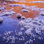 Frozen Tarn