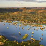 Kakadu Wetlands