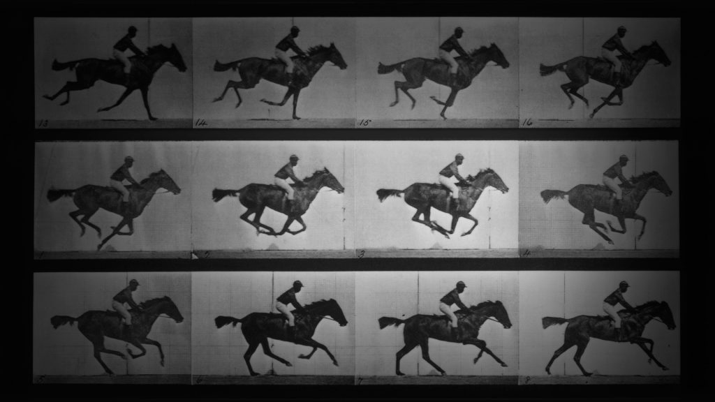 Muybridge Video