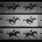 Muybridge Video