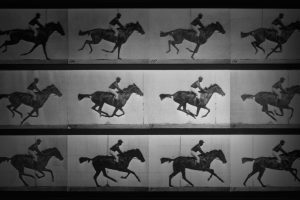 Muybridge Video