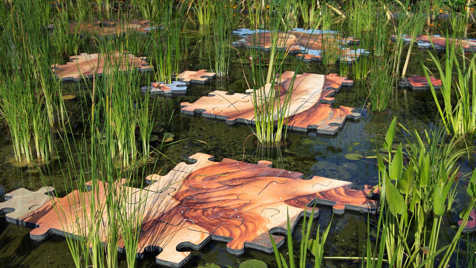 Puzzle Pond