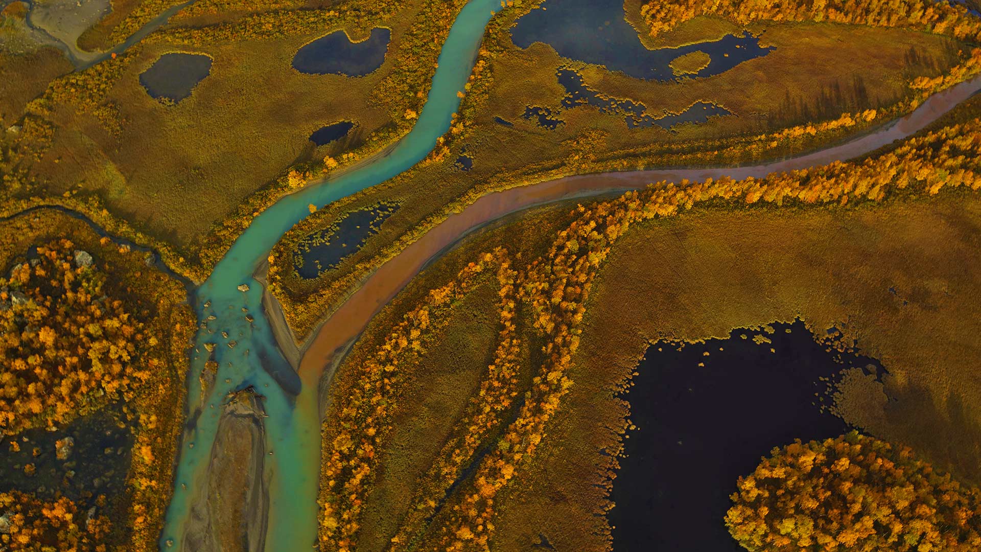 Rapa River Delta