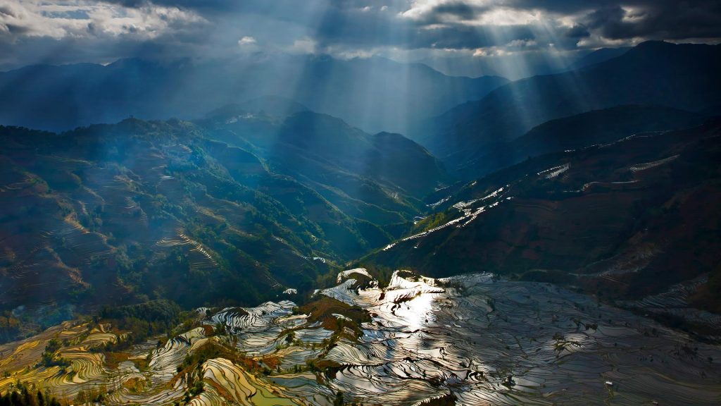 Rice Paddy Video