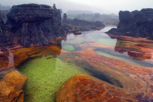 Roraima