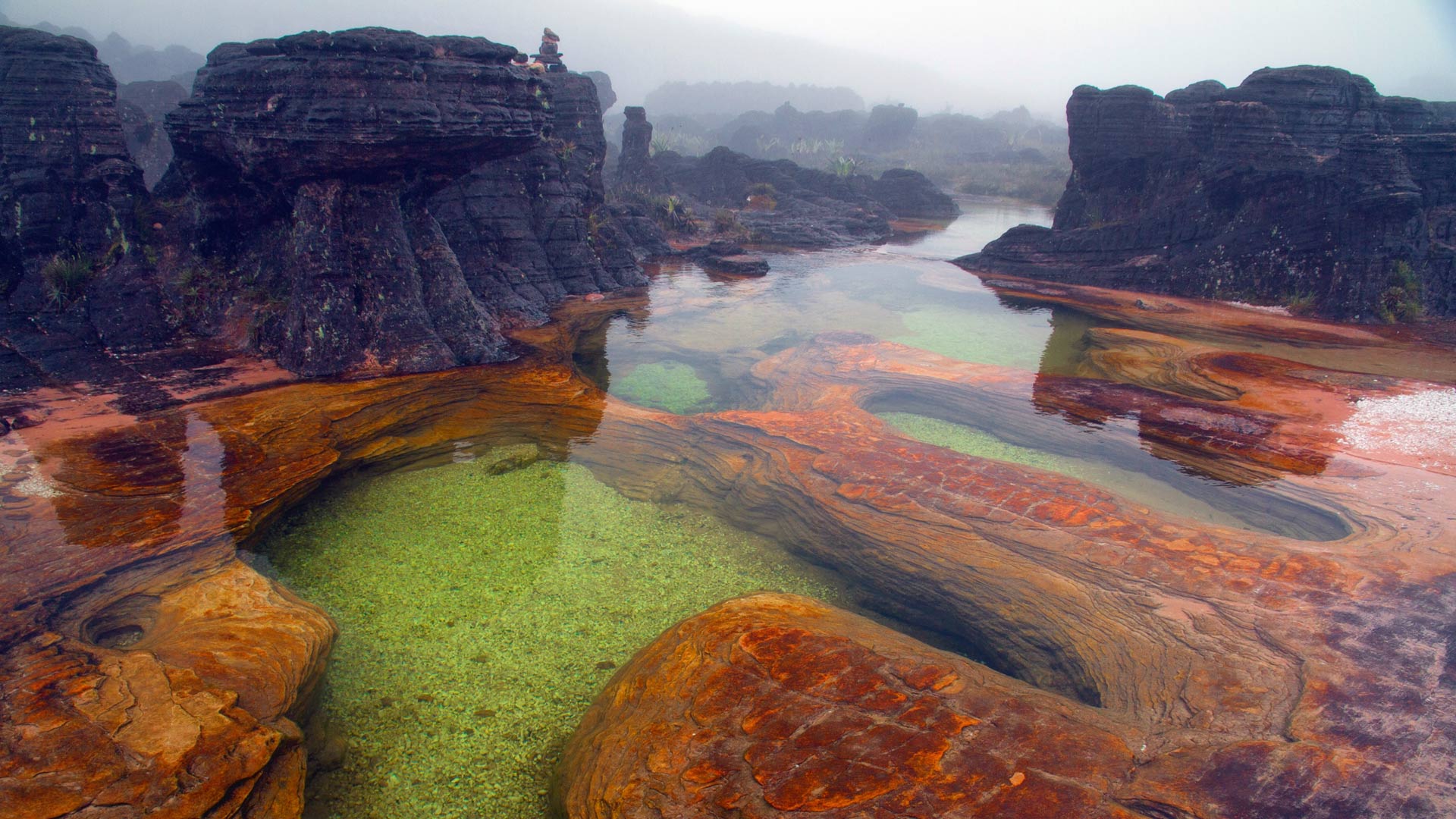 Roraima