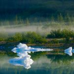 Bear Glacier Lake