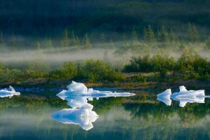 Bear Glacier Lake