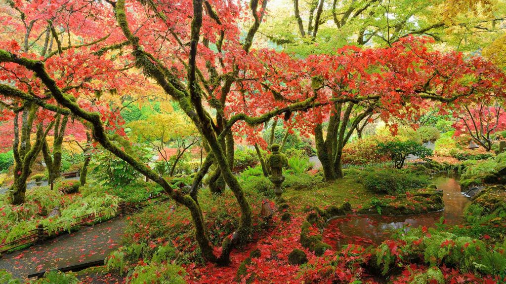 Butchart Gardens