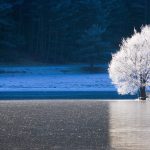 Caille Frozen Lake