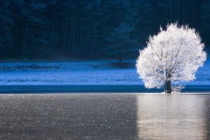 Caille Frozen Lake