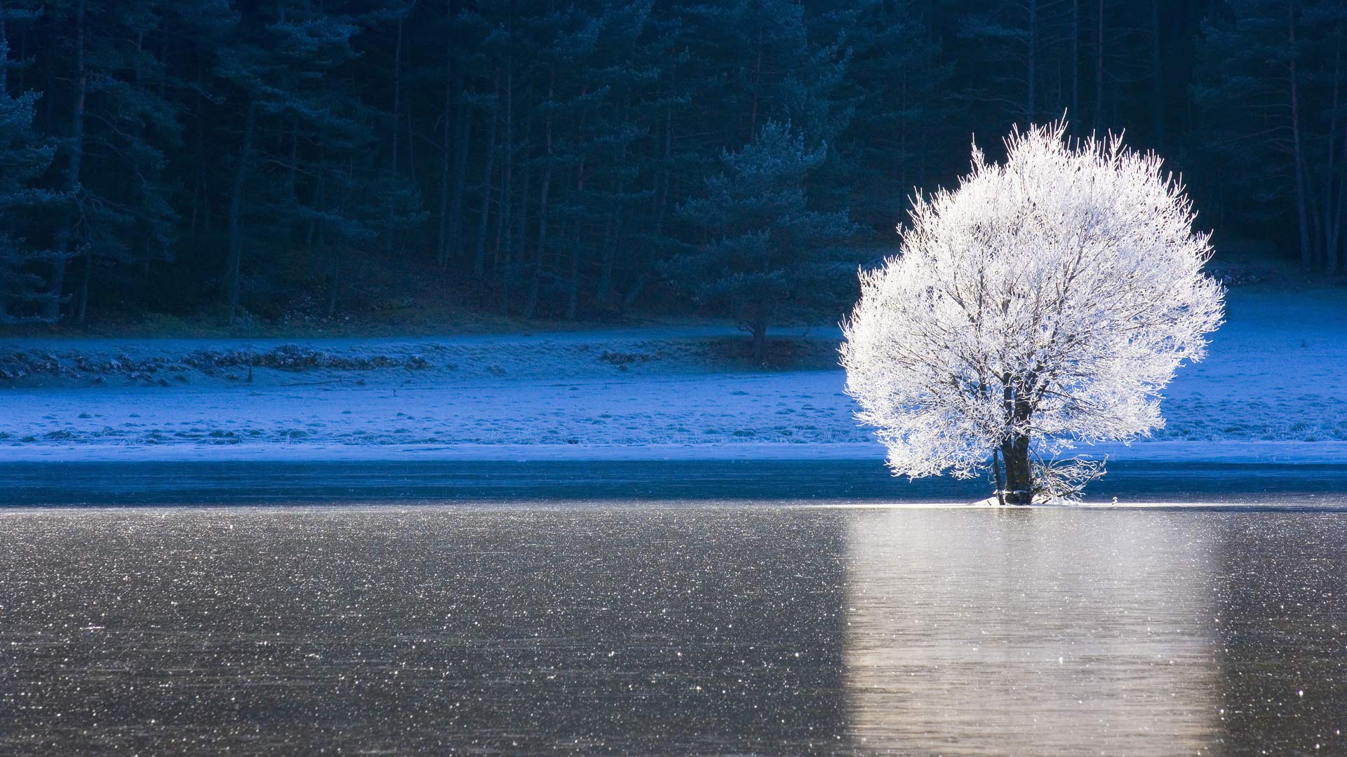 Caille Frozen Lake