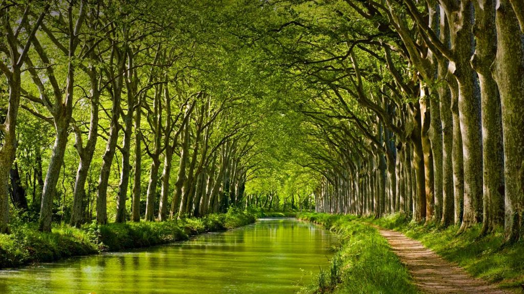 Canal Du Midi Toulouse