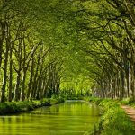 Canal Du Midi Toulouse