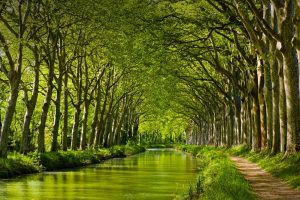 Canal Du Midi Toulouse