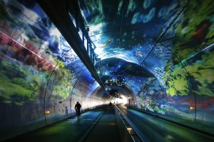 Croix Rousse Tunnel