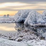 Elbe Frost