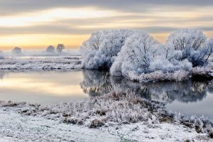 Elbe Frost