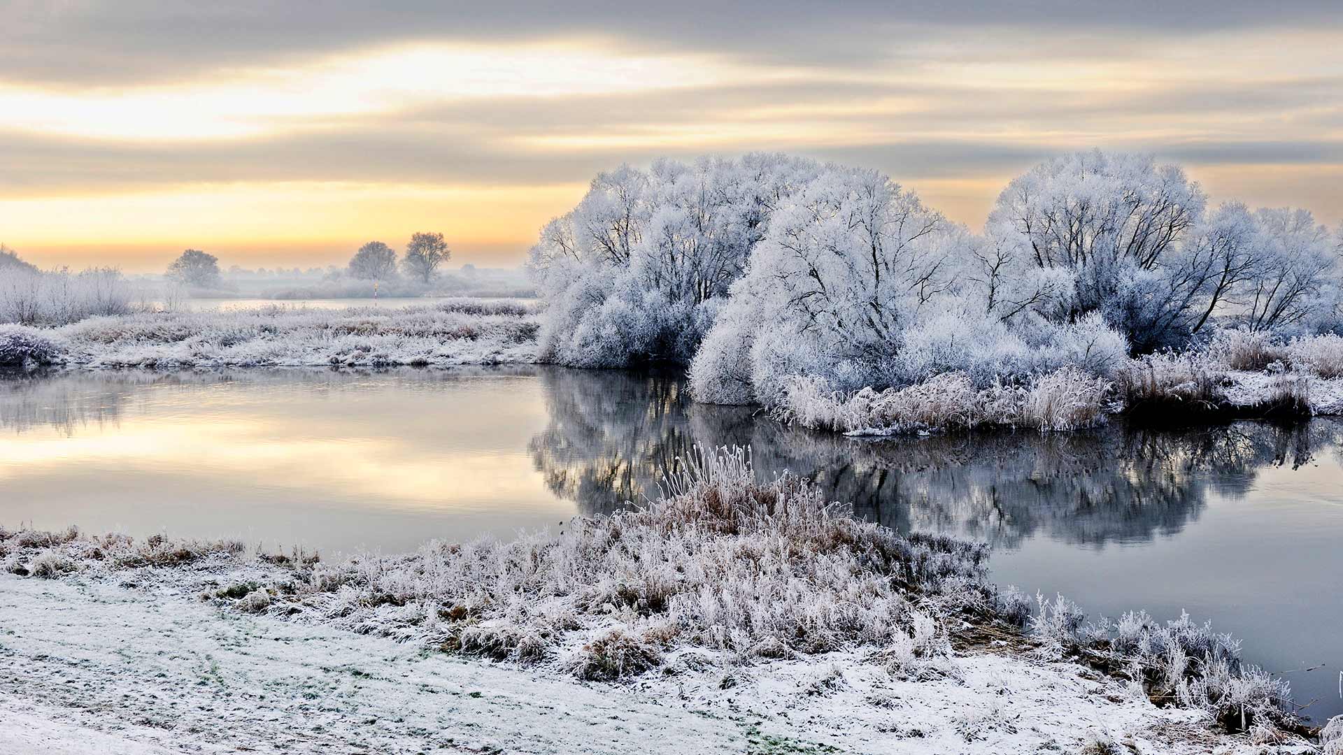 Elbe Frost