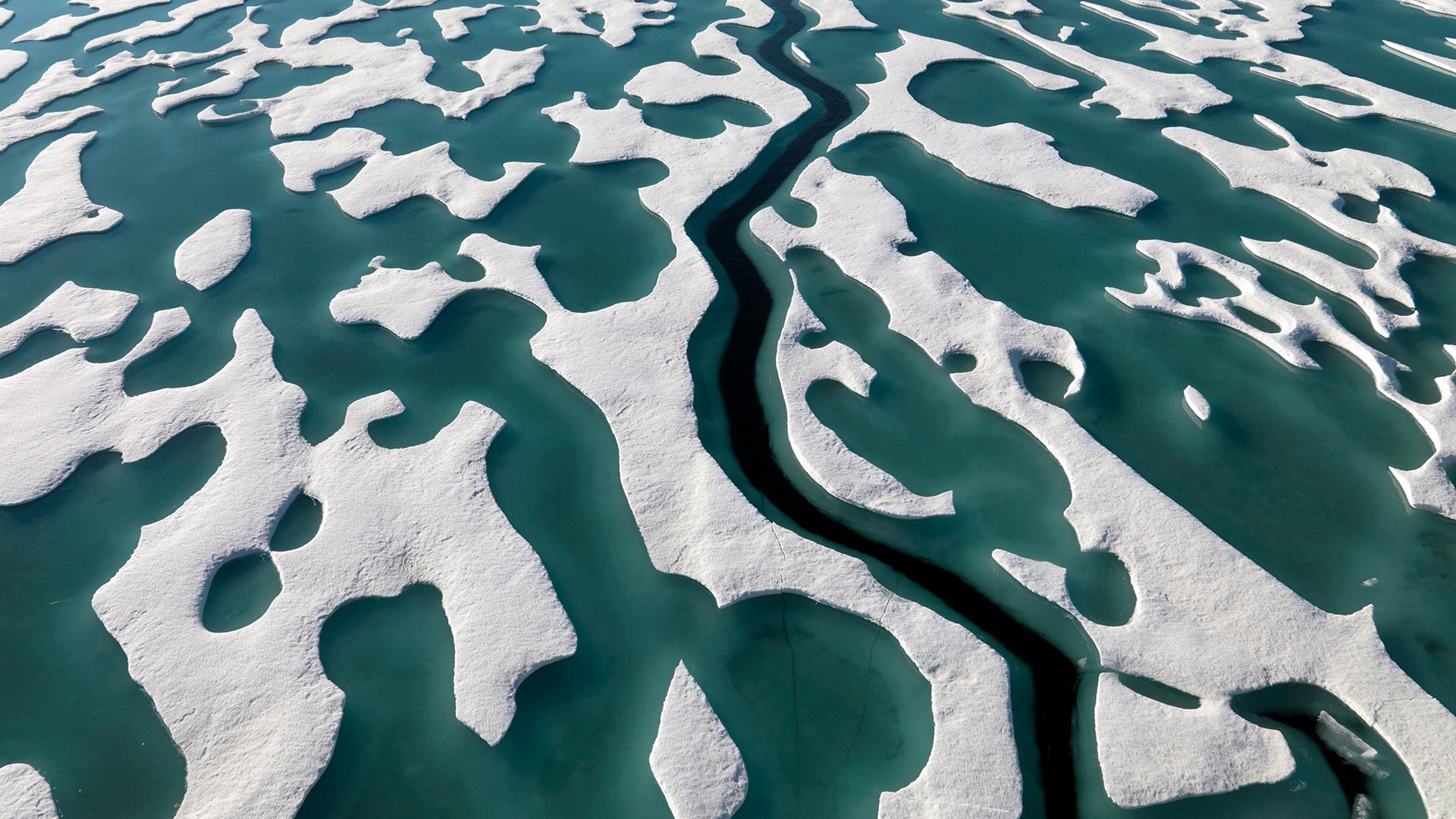 Ellesmere Island