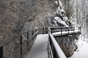 Frozen River