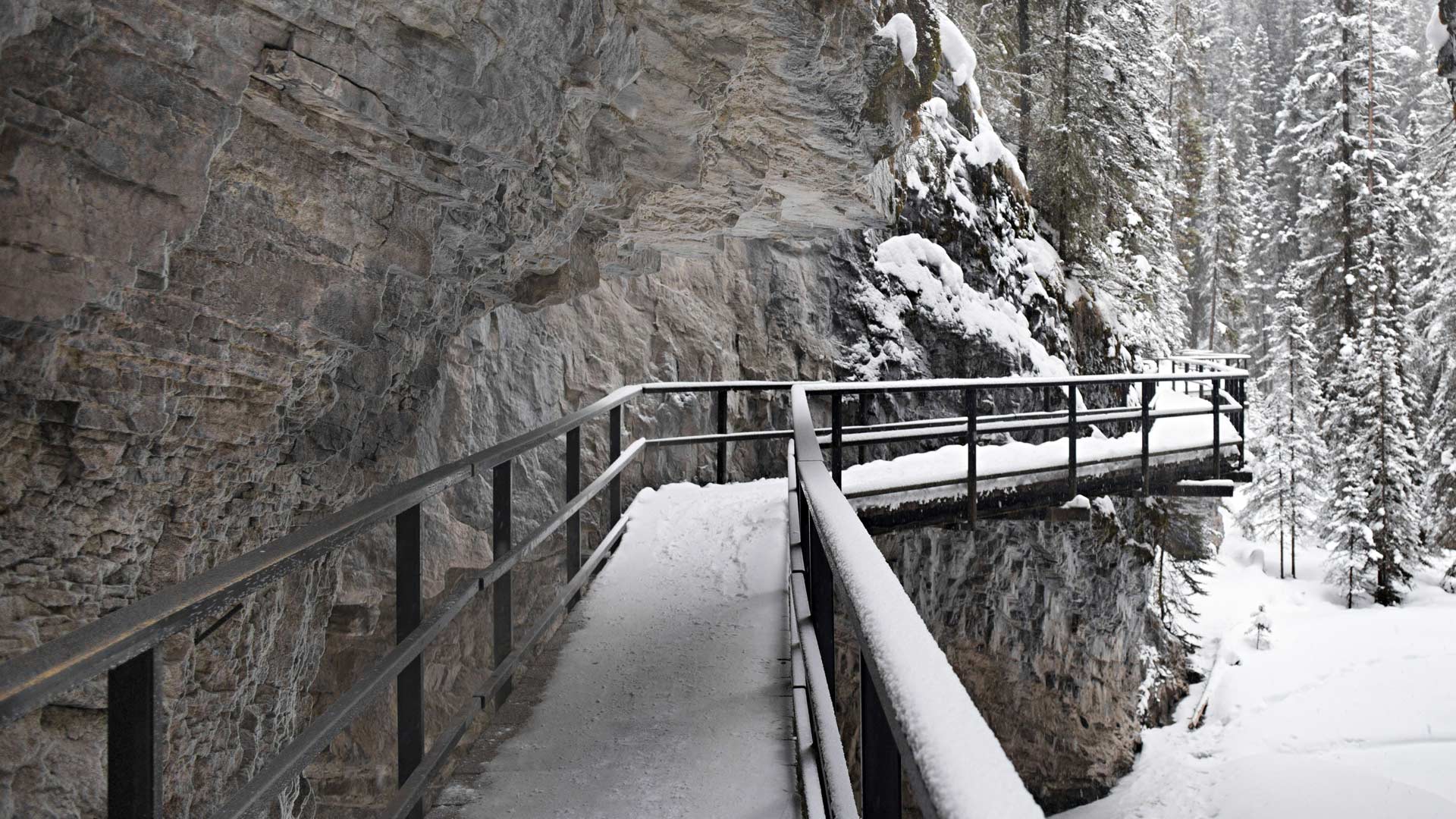 Frozen River