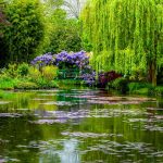 Giverny Garden Spring