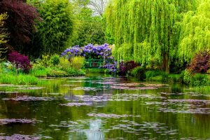 Giverny Garden Spring